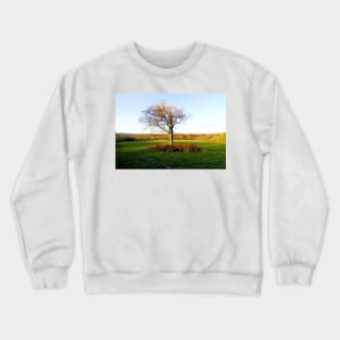 Last tree standing Crewneck Sweatshirt